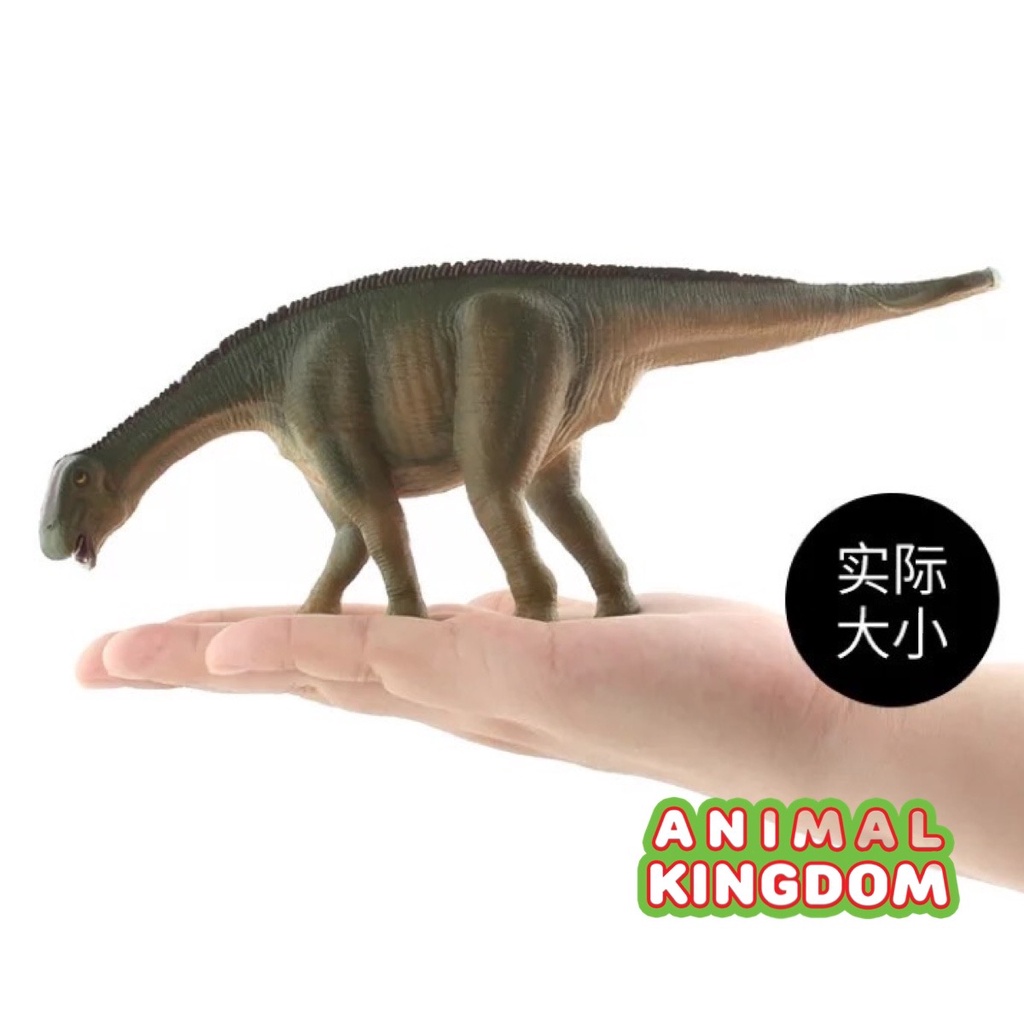 animal-kingdom-โมเดลไดโนเสาร์-migersaurus-ขนาด-22-00-cm-จากหาดใหญ่