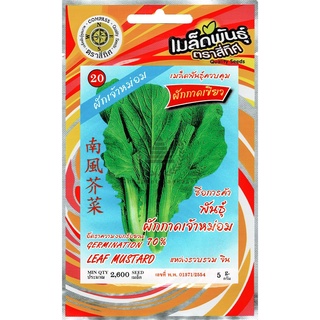 เมล็ดพันธ์ุ ผักกาดเขียว พันธุ์ผักกาดเจ้าหม่อม 5 กรัม (2,600 เมล็ด)/ซอง ตราสี่ทิศ