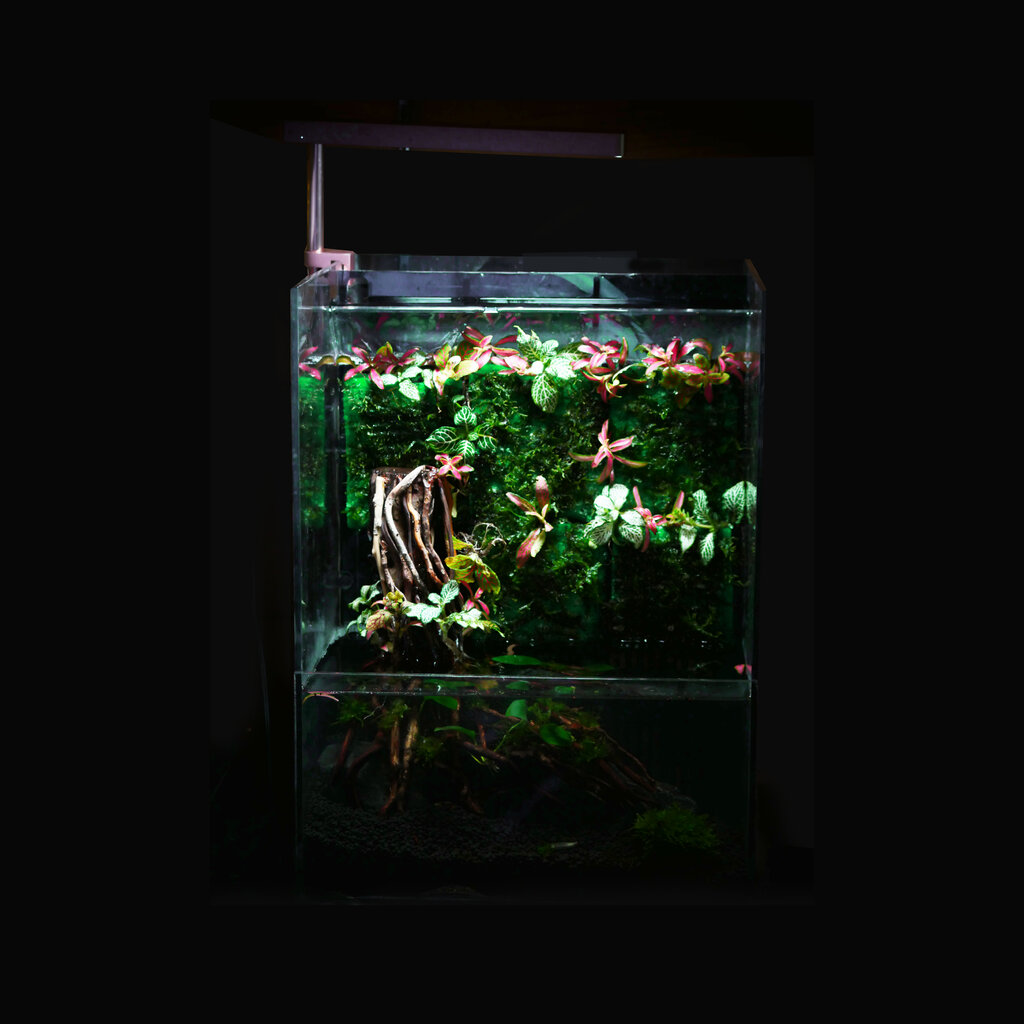 My Image 55