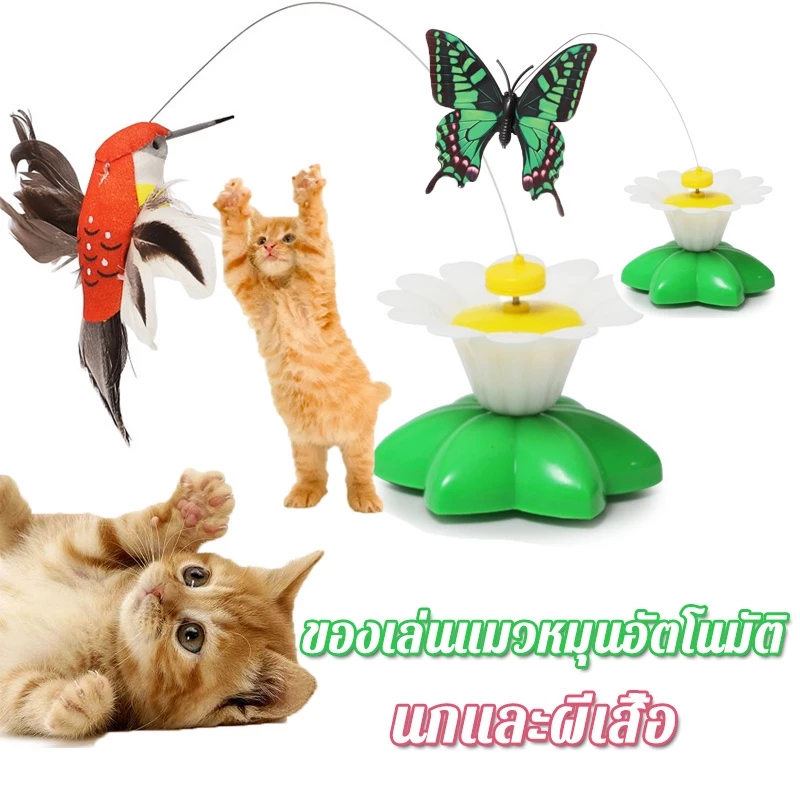 ดูรายละเอียดสินค้า