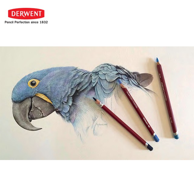 derwent-สีไม้ชอลค์-12-36-สี-pastel-pencils-12-36-colours-1-ชุด