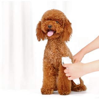 พร้อมส่ง เครื่องตัดขนสัตว์ Xiaomi Pawbby Pets Hair Trimmers Professional Pet Grooming Electrical Hair Hair Clippers