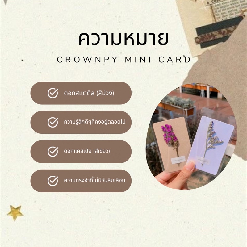 ภาพสินค้าการ์ดปัจฉิม การ์ดดอกไม้ปัจฉิม mini card เจ้าแรกในไทย พร้อมส่งภายใน 1 วัน ไม่มีขั้นต่ำ จากร้าน mesirii3 บน Shopee ภาพที่ 5