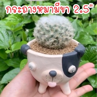 กระถาง​หมา​มี​ขา​ 2.5 