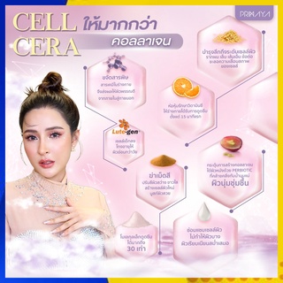 2กล่อง : Cell Cera ที่สุดของอาหารผิว เน้นขาวใส มีออร่า ชุ่มชื่นอิ่มน้ำ เรียบเนียน Primaya พรีมายา เซลเซล่า