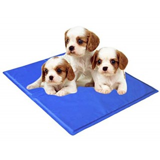 Pet cool mat แผ่นเจลรองนอนหมา แผ่นเจลเย็นสุนัข ที่นอนเจลเย็นสำหรับสุนัข (Size s 30*40 cm)