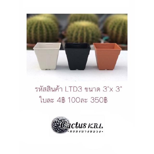 LTD3 กระถางต้นไม้แคคตัส มีให้เลือก 2 สี ขนาด 3 x 3 นิ้ว 100 ใบ