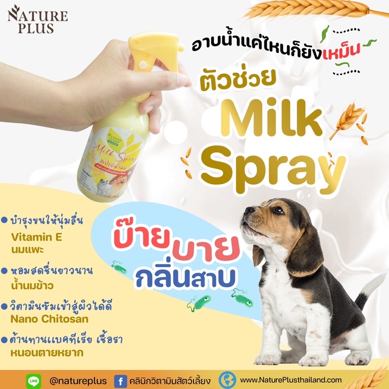 โปรโมชั่นพิเศษ-milk-spray-สเปรย์น้ำนมแพะแถมฟรีแปรงหวีขน