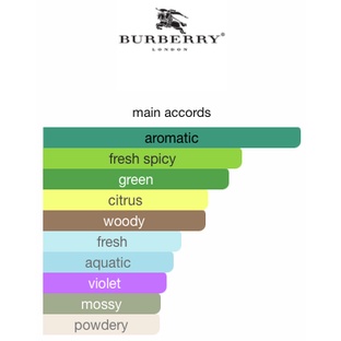burberry-mr-burberry-indigo-edt-น้ำหอมแท้