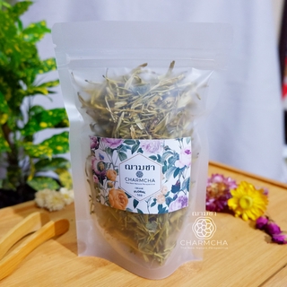 ชาดอกสายน้ำผึ้ง (Honeysuckle Flower Tea) กระปรี้กระเปร่าและอายุยืน ขับพิษร้อนถอนพิษไข้ รู้สึกผ่อนคลาย ชาดอกไม้ Charmcha