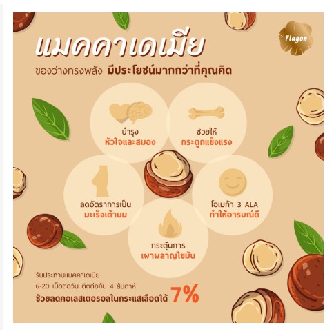 แมคคาเดเมียเม็ดดิบ-ขนาด-500-กรัม-ถั่วแมคคาเดเมีย-macadamia-แมคคาเดเมียซีก-แกะเปลือกเม็ดดิบ-ตราเฮอริเทจ