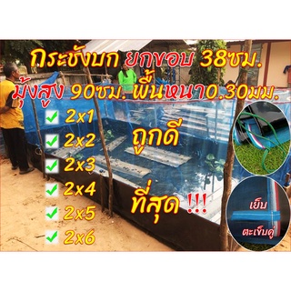 กระชังบก พื้นหนา0.30มม. เลี้ยงกบ เลี้ยงปลาและอนุบาลสัตว์น้ำ