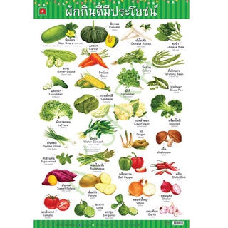 Aksara for kids โปสเตอร์ หุ้มพลาติก ติดผนัง ผัก กินดี มีประโยชน์ vegetable poster