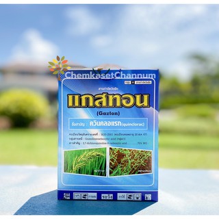 แกสทอน-ควินคลอแรก-ขนาด 100 กรัม ✅ สินค้าผลิตใหม่ ของแท้แน่นอน 💯