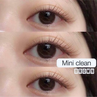 🇰🇷 Mini Clean Brown 🇰🇷 (Cleen)มีสายตาปกติถึง-10.00 คอนแทคเลนส์ Kitty Kawaii