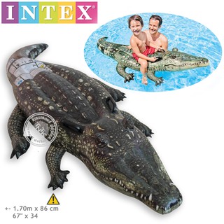 แพเป่าลมจระเข้ Intex บริการเก็บปลายทาง