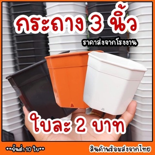 ภาพหน้าปกสินค้ากระถางต้นไม้ แปดเหลี่ยม 3 นิ้ว ราคาส่งถุกที่สุด พร้อมส่งจากไทย ที่เกี่ยวข้อง