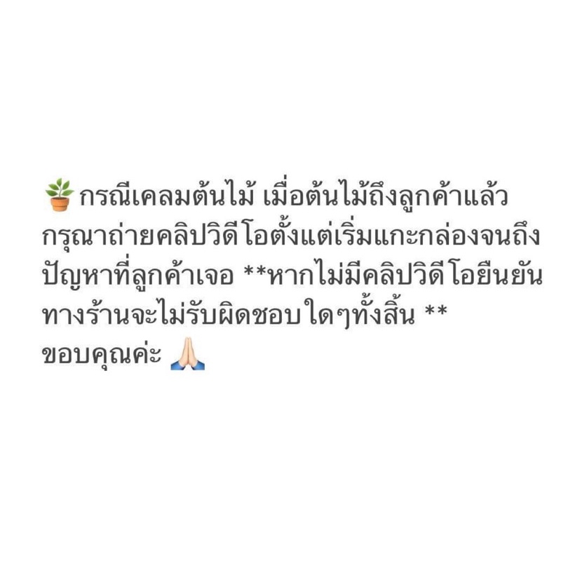 เพอร์ไลท์-วัสดุปลูก