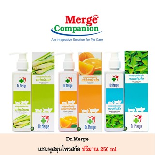 ภาพหน้าปกสินค้าDr.Merge แชมพูสมุนไพรสกัด ทองพันชั่ง เปลือกส้ม ตะไคร้หอม ขนาด 250 ml ที่เกี่ยวข้อง