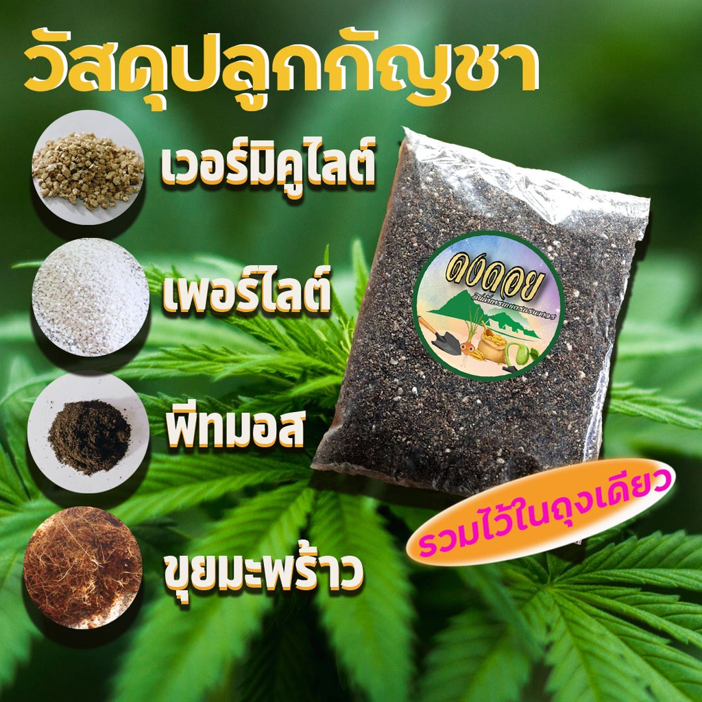 ดินปลูกกัญชา-ออแกนิค-ดินปลูกสายเขียว-บรรจุ-1-กก-ใช้ได้ทุกช่วงการเจริญเติบโต