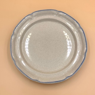 J270 จานเนื้อหนา เนื้อกละ ขอบฟ้่า International chit-chat china stoneware