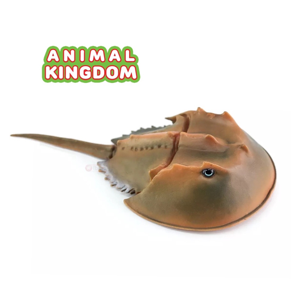 animal-kingdom-โมเดลสัตว์-แมงดาทะเล-เขียว-ขนาด-16-00-cm-จากสงขลา