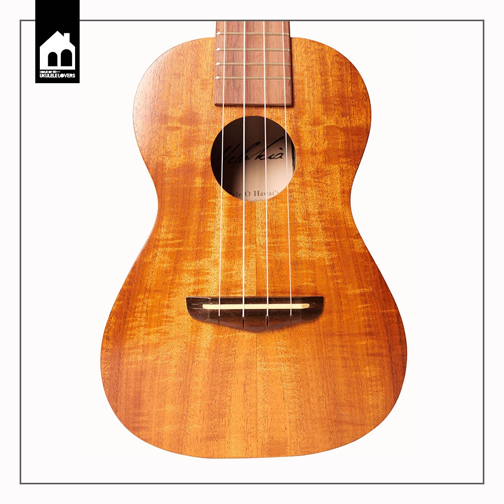 Melokia all solid Acacia Concert Ukulele อูคูเลเล่ไม้อะเคเซีย ยี่ห้อเม ...