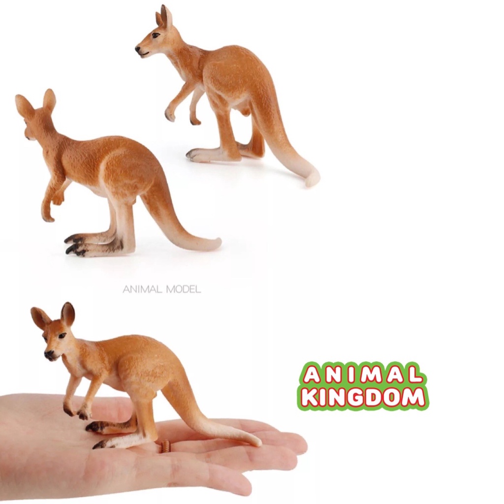 animal-kingdom-โมเดลสัตว์-จิงโจ้-พ่อแม่ลูก-ชุด-4-ตัว-จากหาดใหญ่