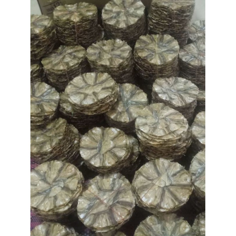 ภาพสินค้าปลาวง ปลาแผ่น ปลาแห้ง ปลาน้ำจืด วงละ 9 บาท จากร้าน kittichai_00001 บน Shopee ภาพที่ 2
