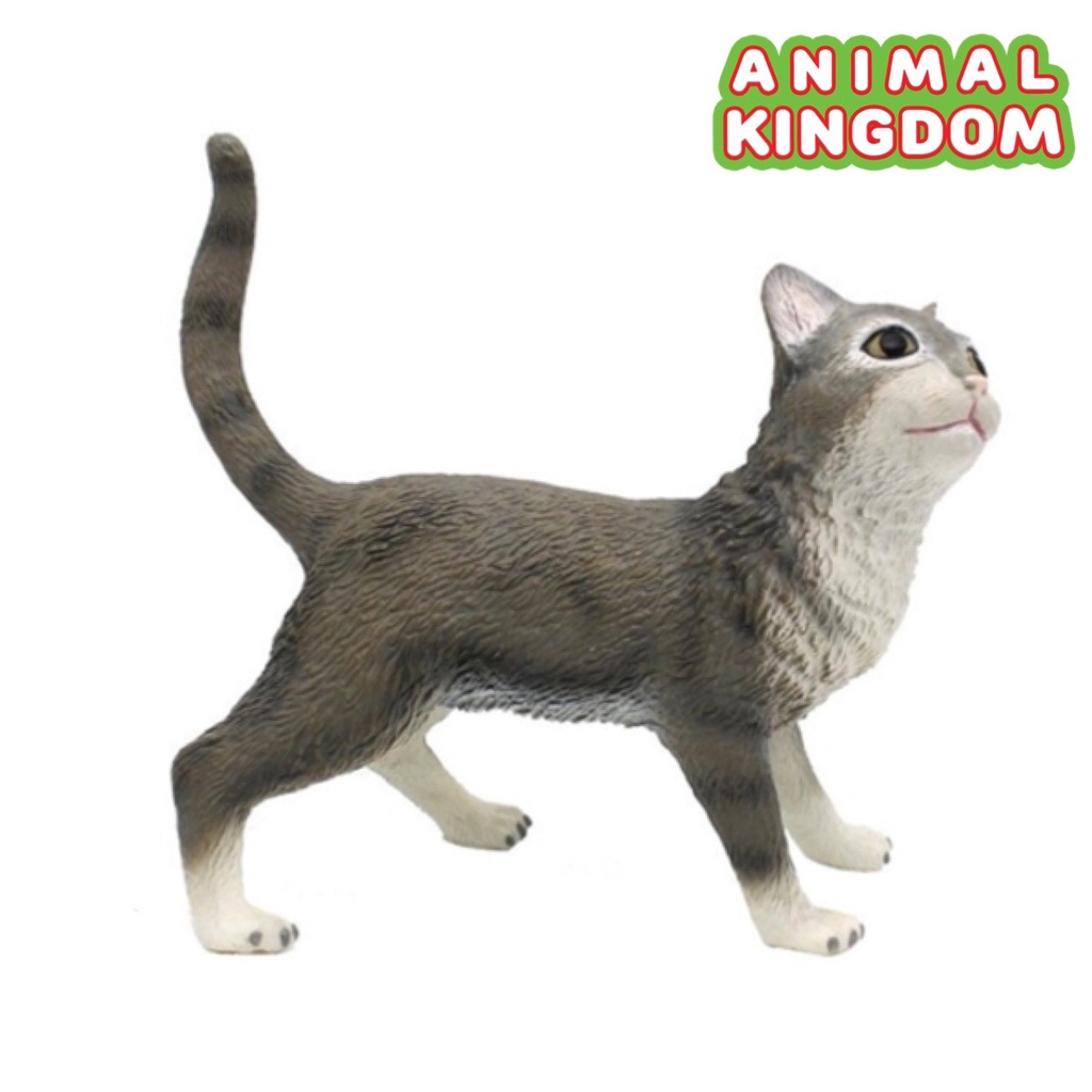 animal-kingdom-โมเดลสัตว์-แมว-เทา-ขนาด-26-50-cm-แบบนิ่ม-จากหาดใหญ่