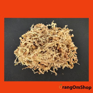 สแฟกนั่มมอส (Sphagnum Moss) ขนาด 1 ลิตร