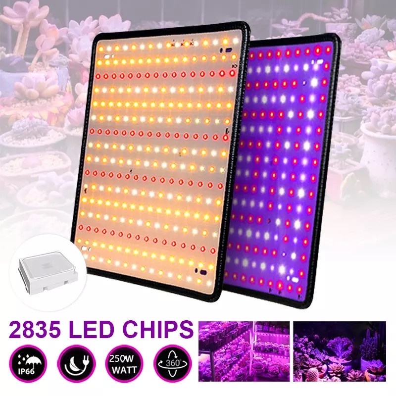 220V Full Spectrum LED Grow Light 250W 256ED แสงเหลือง/แดง ไฟปลุกต้นไม้ ...