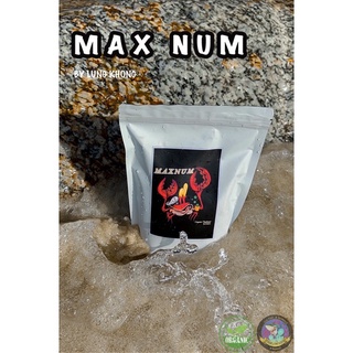 ภาพหน้าปกสินค้าMAX NUM เสริมแคลเซียม+แมกนีเซียม 500g. ที่เกี่ยวข้อง