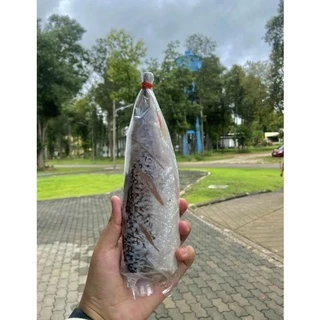 ปลาส้มพะเยา ปลาส้มแบบตัวเดี่ยว ตัวละ 29 บาท คละไซส์ ปลาส้มแม่มาลัยเจ้าดังจังหวัดพะเยา photo