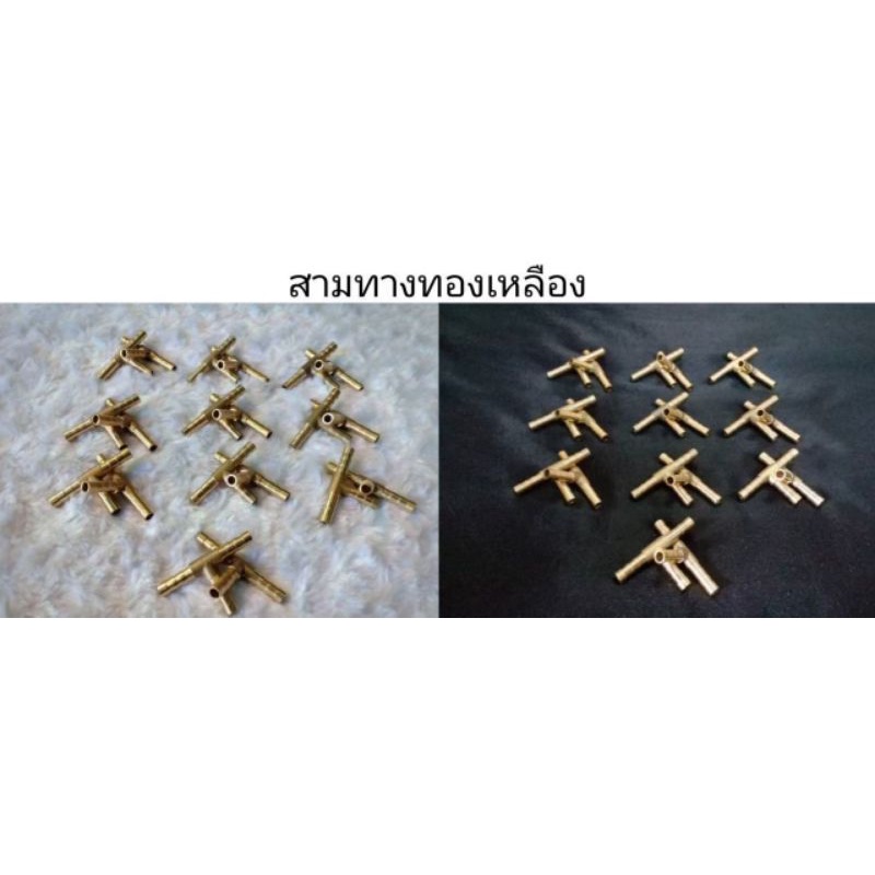 สามทางทองเหลืองตัวละ-40-บาท