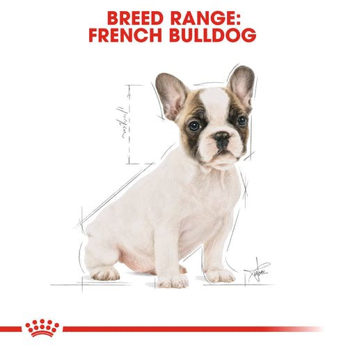 cheaper-royal-canin-french-bulldog-puppy-3kg-โรยัลคานิน-อาหารลูกสุนัข-เฟรนช์-บูลด็อก-ขนาด-3-กิโลกรัม