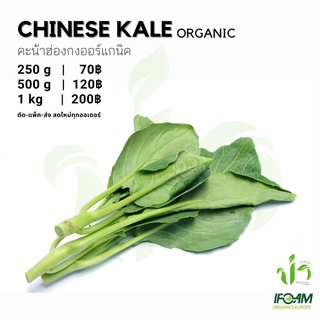 ภาพหน้าปกสินค้าคะน้าฮ่องกงออร์แกนิค Organic Chinese Kale มาตรฐานออร์แกนิค IFOAM ผักสลัด ผักสด เก็บ-แพ็ค-ส่ง เก็บใหม่ทุกออเดอร์ ที่เกี่ยวข้อง