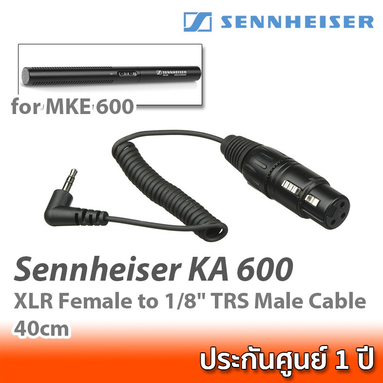 Sennheiser KA 600 - XLR Female to 1/8 