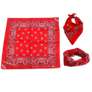 ผ้าลายวินเทจ ลายลูกน้ำ (Red Bandana Paisley Vintage)