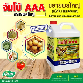 ขยายผลใหญ่ จัมโบ้ AAA ปุ๋ยยา เพิ่มน้ำหนัก เร่งสี ทรงสวย ขยายขนาดผล ผลใหญ่สม่ำเสมอ 1 แกลอน (ขนาด 5 ลิตร)