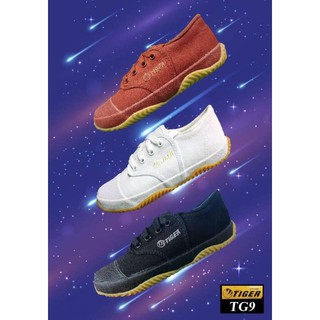 สินค้า รองเท้าผ้าใบนักเรียน TIGER  รุ่น TG9