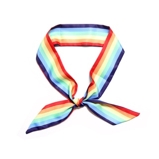 ภาพหน้าปกสินค้าริบบิ้น สายรุ้ง โบว์ ผ้า สายรัด ริบบื้นผูกกระเป๋า ริ้บบิ้นตกแต่ง ผ้าตกแต่ง ผ้าสายรุ้ง Rainbow LGB Scarf Ribbon Streamer ที่เกี่ยวข้อง