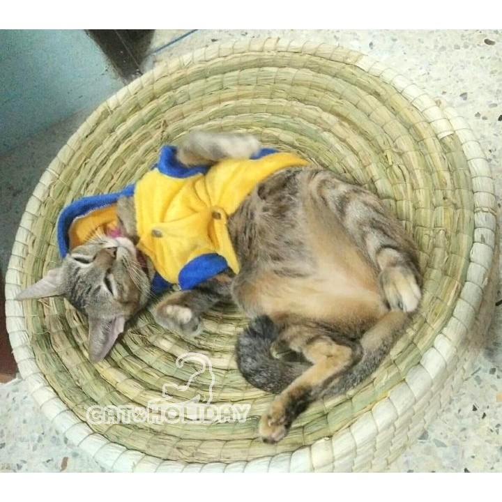 catholiday-ที่นอนฟางข้าวโพด-ที่ลับเล็บ-ของเล่นแมว-ที่นอนสัตว์เลี้ยง