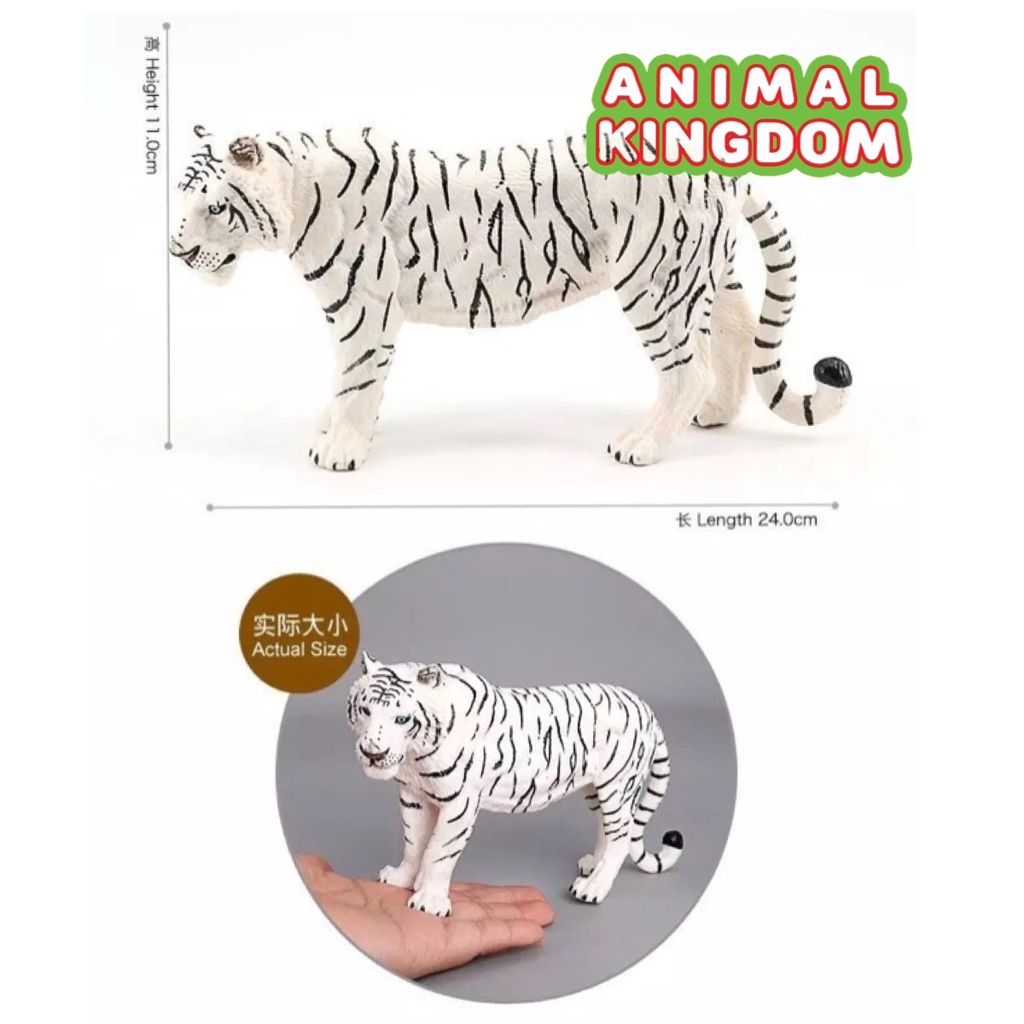 animal-kingdom-โมเดลสัตว์-เสือโคร่ง-เผือก-ขนาด-23-50-cm-จากหาดใหญ่