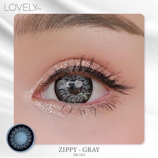 zippy gray สีเทาตาโตตัดขอบ ลายใหม่