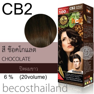 Farger HCE Hair Color (Coffee Brown Series) 100ml. ฟาเกอร์ ครีมเปลี่ยนสีผม โทนสีกาแฟ โทนน้ำตาลธรรมชาติ