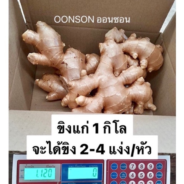 รูปภาพของขิงแก่ ขิงไทย 1kg. จากเขาค้อ ไร้สารเคมีตกค้าง เกรดส่งออกลองเช็คราคา