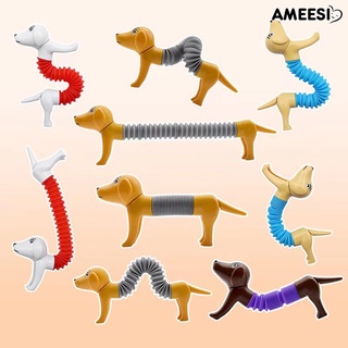 Ameesi Fidget Pipe ของเล่นบรรเทาความเครียด DIY สีสันสดใส สุนัขยืด ท่อบีบอัด ของเล่นสําหรับเด็ก ของขวัญ