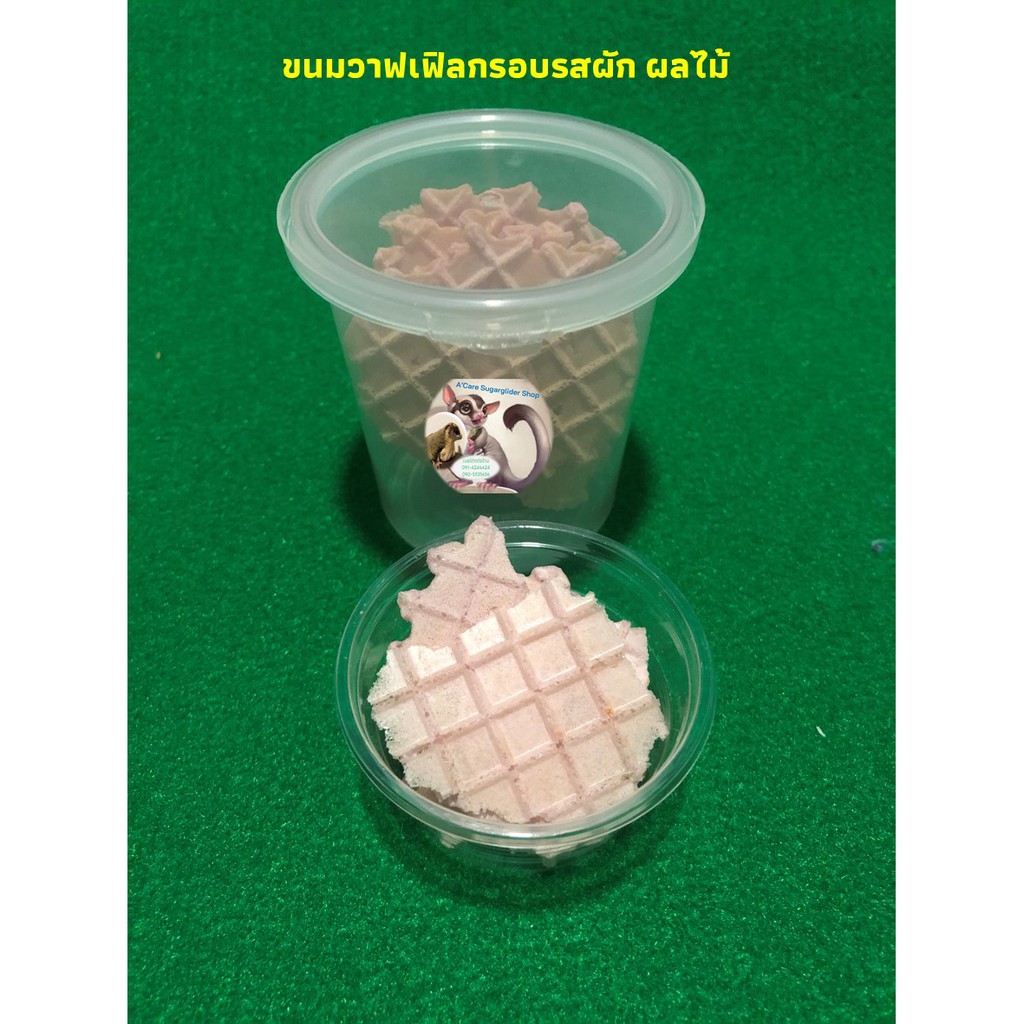 ขนมวาฟเฟิลกรอบรสผัก-ผลไม้-อาหารชูการ์ไกลเดอร์-ชูการ์ไกลเดอร์-กระรอก-แฮมสเตอร์-กระต่าย-หนู-ชิลชิล่า-แพรี่ด็อก