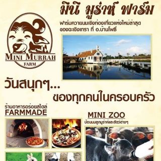 ภาพหน้าปกสินค้า[E ticket] มินิมูร่าห์ฟาร์ม (Mini Murrah farm) หมดอายุ 25 ธค. 66 ที่เกี่ยวข้อง